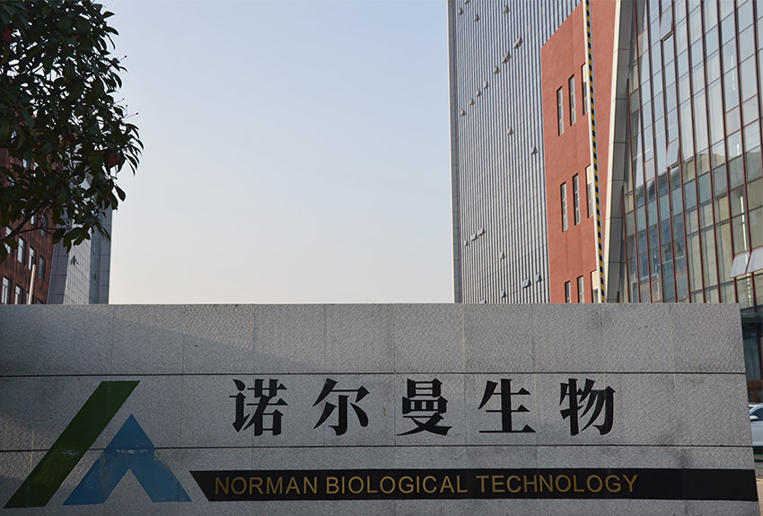 immunoflurescence analyzer manufacturer immunoflurescence analyzer manufacturer