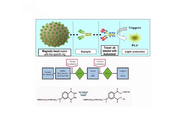 Dévoilement de la précision du test immunologique par chimiluminescence dans les diagnostics modernes
    