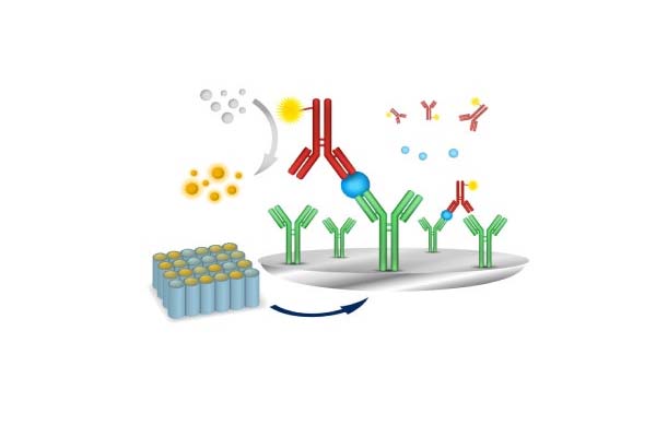 Comprendre le test de chimiluminescence : applications et importance
